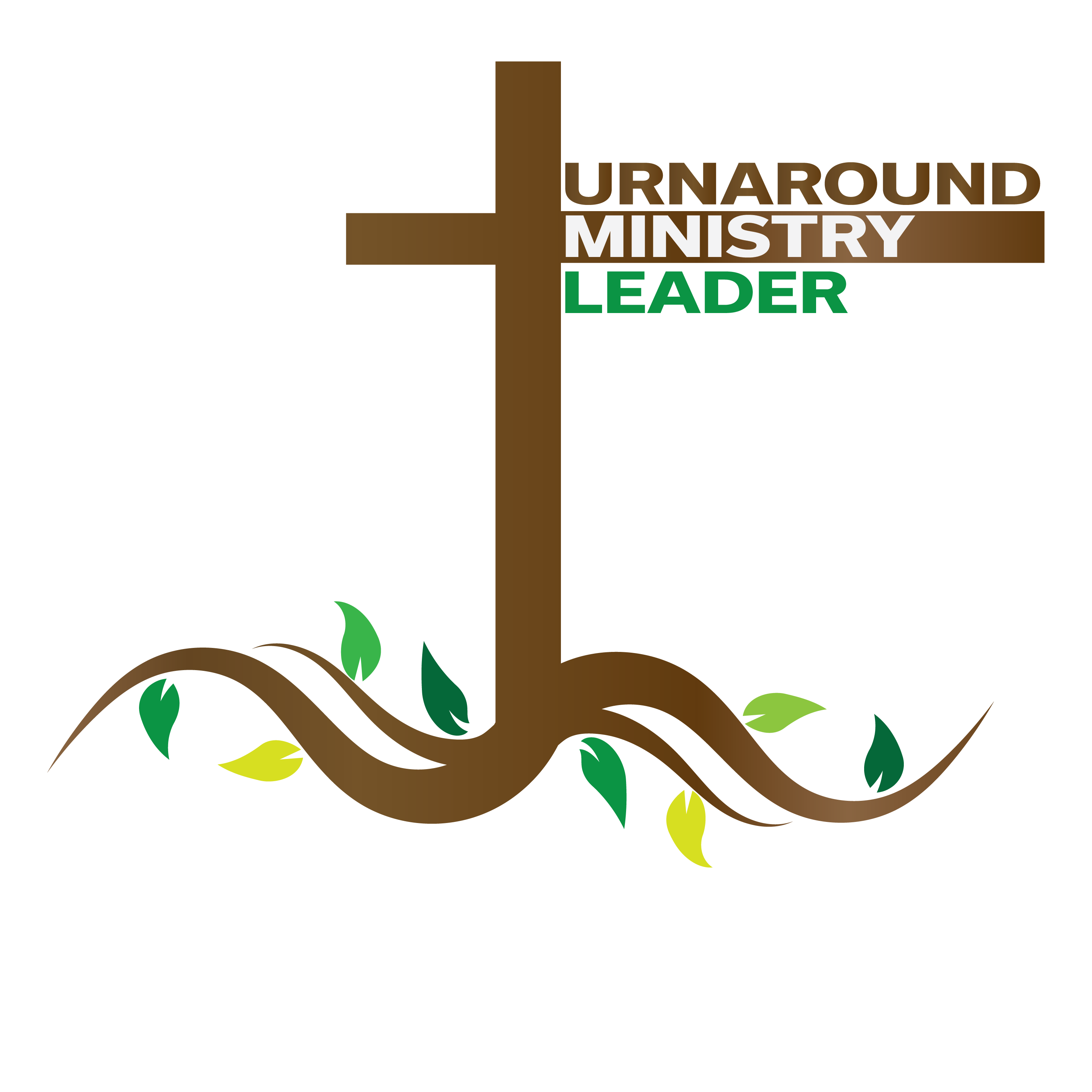 Turnaround Ministry Leader